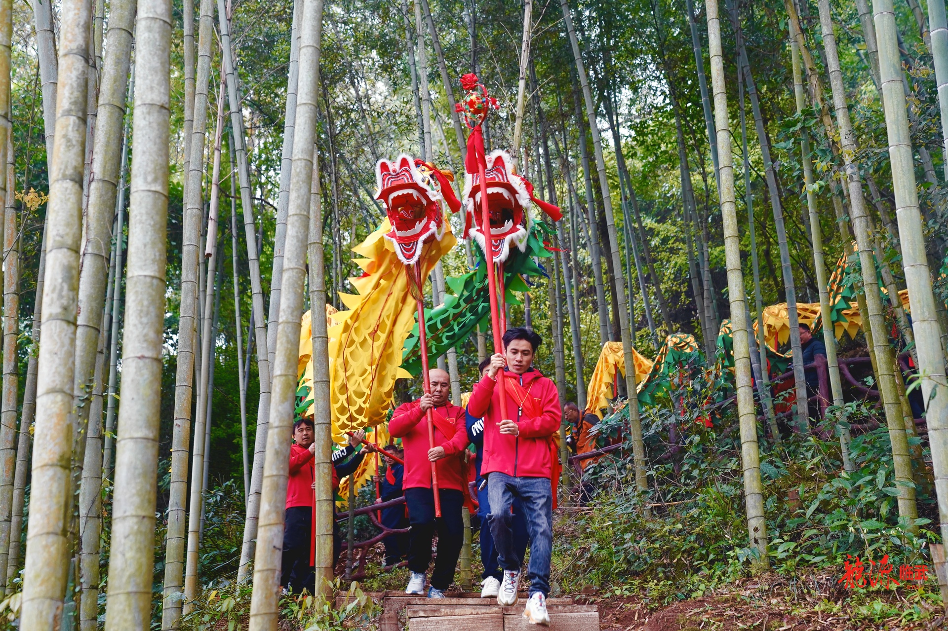 二月二龙抬头！“十进”春风“闹民俗”