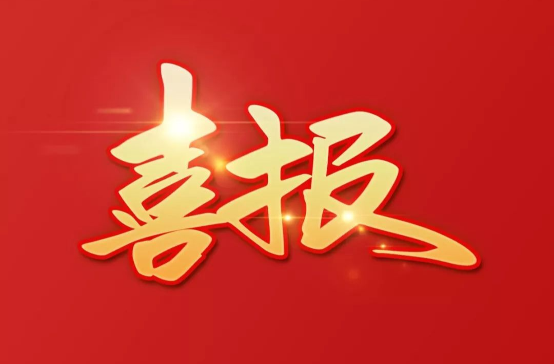 喜报！临武陈文发、县委政法委入选2025年四季度郴州“四敢”先进典型