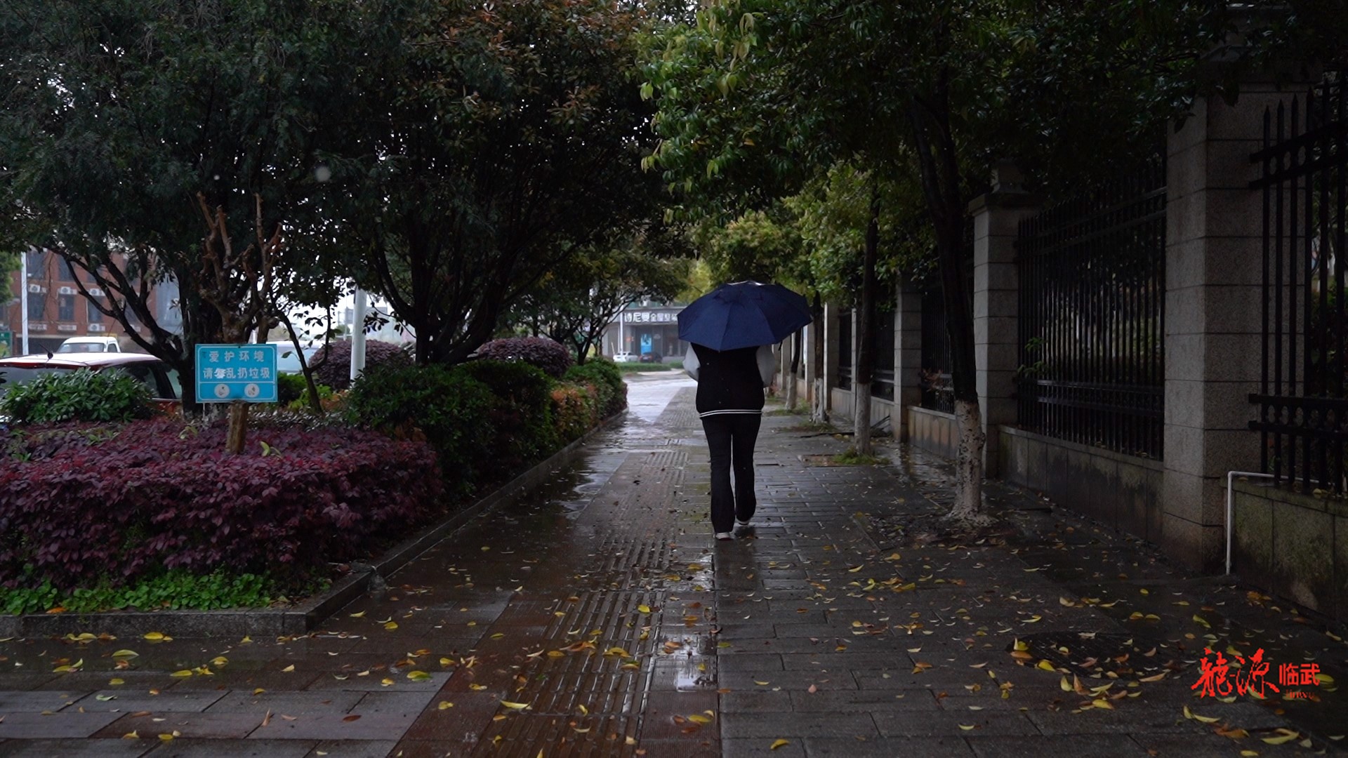 临武县持续强对流天气 未来一周多轮降雨需防范