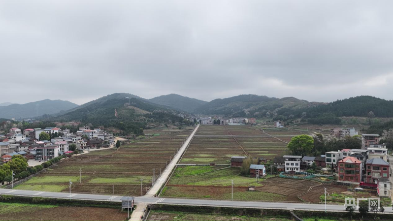 【央广网】湖南临武：抢抓春耕“黄金期” 高标准农田建设“提速”