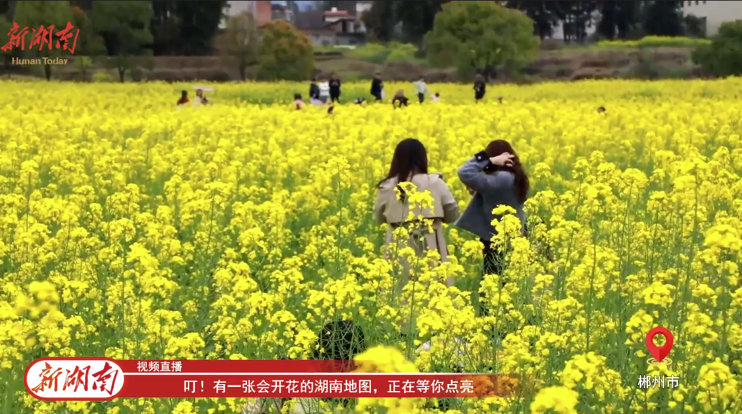 【新湖南】直播回顾｜叮！有一张会开花的湖南地图，正在等你点亮