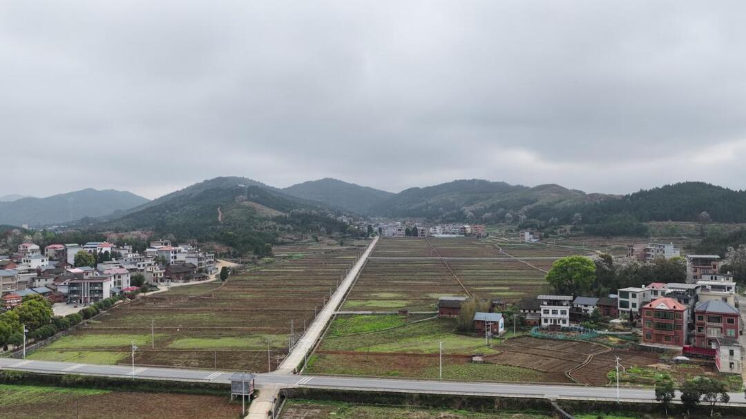 【新湖南】临武县：抢抓春耕“黄金期” 高标准农田建设“提速”