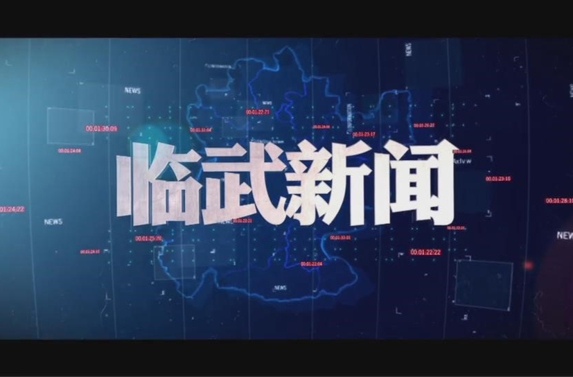 2025-11-10《临武新闻》