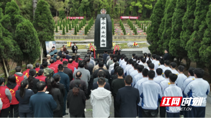 【红网时刻】临武县开展“清明祭英烈”文明实践主题活动