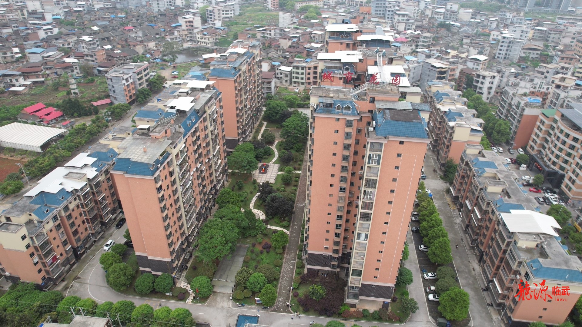 持续深化“六大新行动” 全面彰显“七个新担当”｜城市花园：“红色业委会”点亮幸福家园