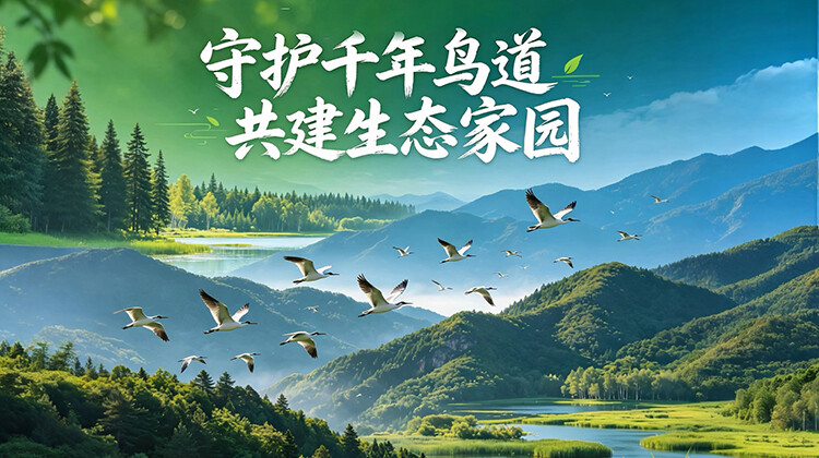 守护千年鸟道 共建生态家园