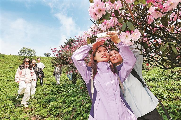 【郴州日报】临武通天山春色醉人