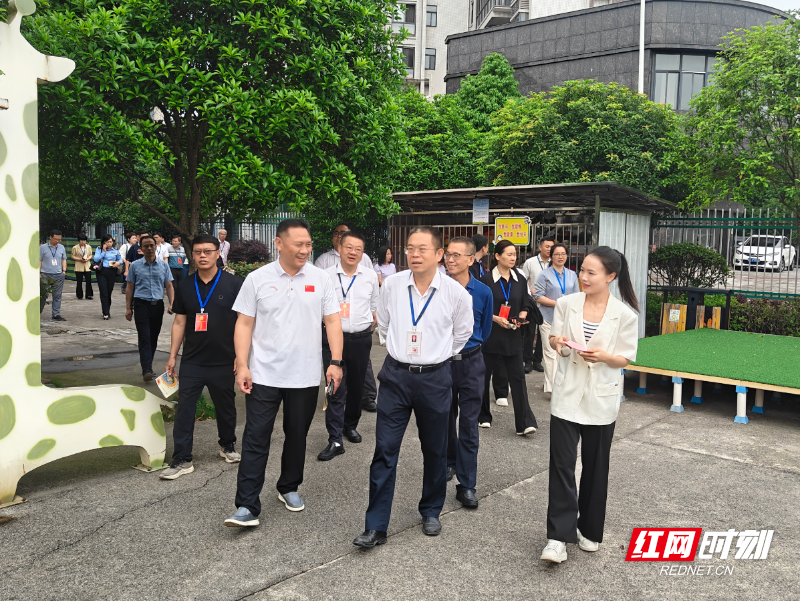 【红网时刻】临武县人大常委会开展全县学前教育工作情况代表视察活动