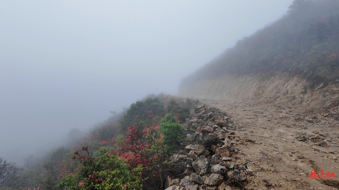 天堂岭之殇：当“越野”碾过草甸