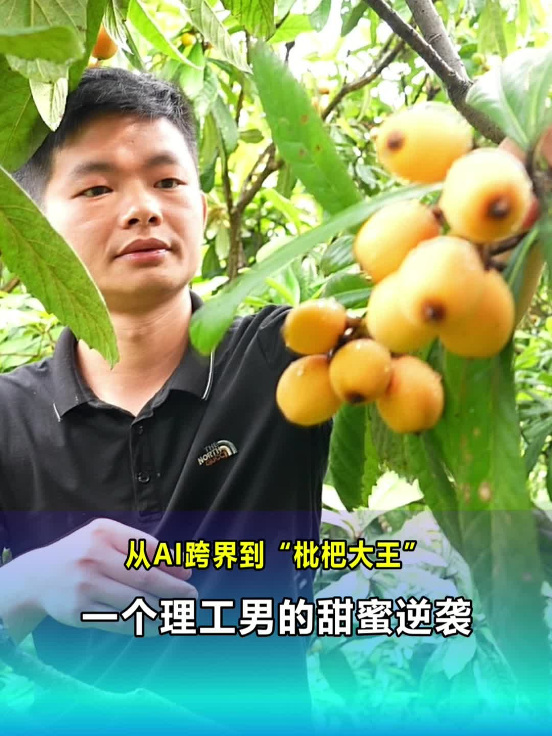 从AI跨界到“枇杷大王”：一个理工男的甜蜜逆袭