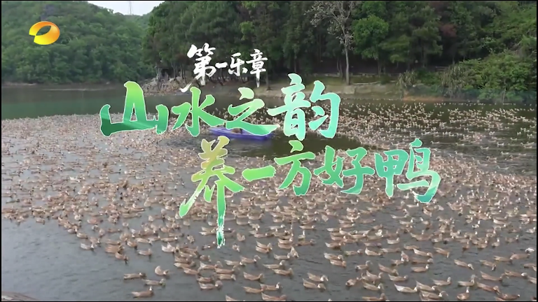 【学习强国】品美食丨【湖湘寻宝记】临武酱板鸭的时光密码