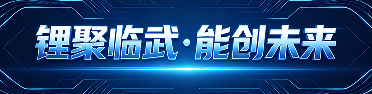 锂聚临武·能创未来