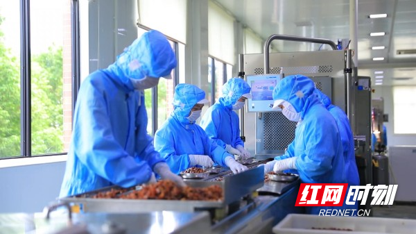 【红网时刻】临武县：做优“一只鸭”做精一座城