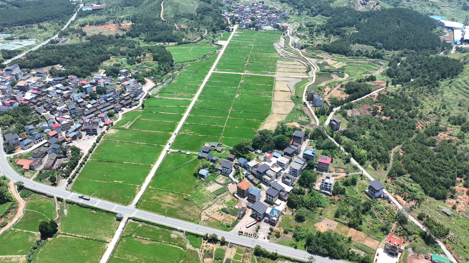 持续深化“六大新行动” 全面彰显“七个新担当”｜临武县纪委监委：以案破题强监管  系统施治建良田