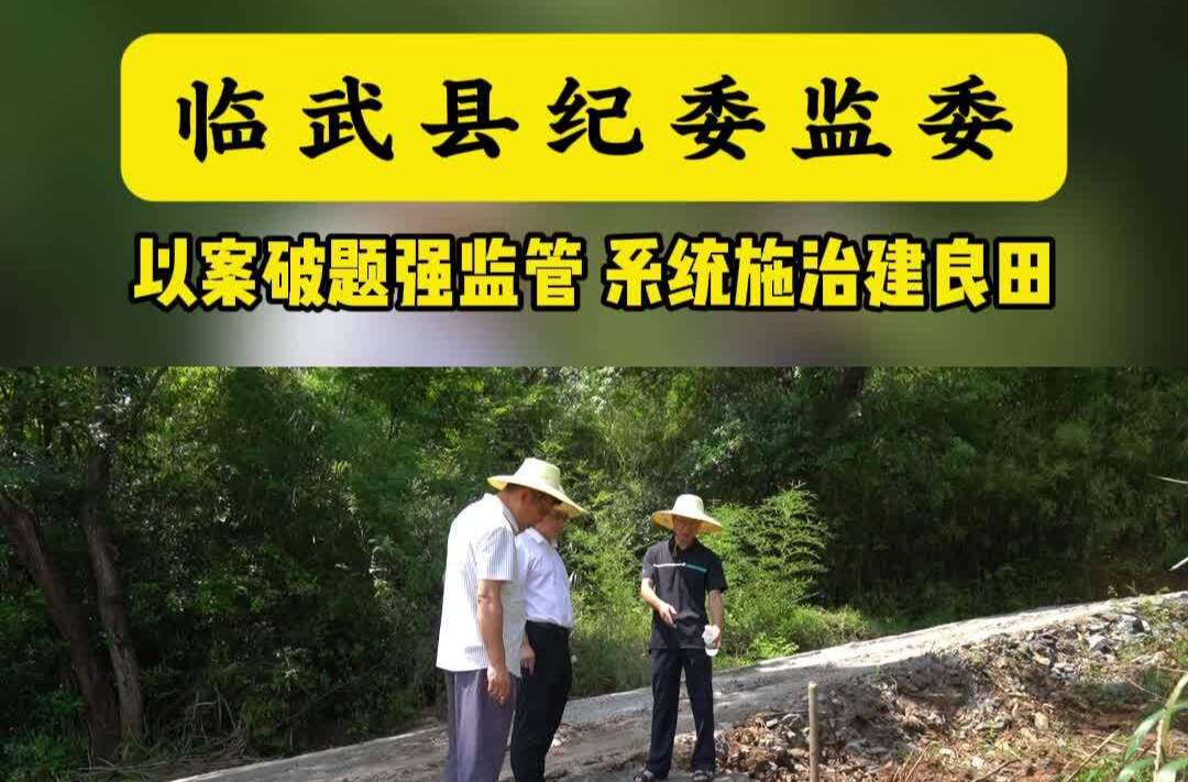 临武县纪委监委：以案破题强监管 系统施治建良田