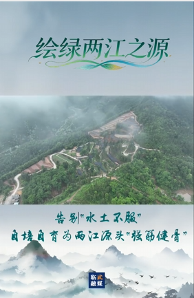 【学习强国】绿水青山丨郴州临武：培育乡土苗木 护好“绿色家底”