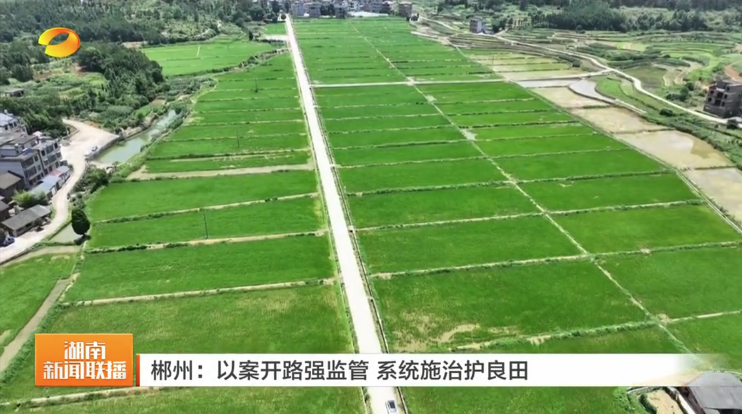 【湖南新闻联播】郴州：以案开路强监管 系统施治护良田