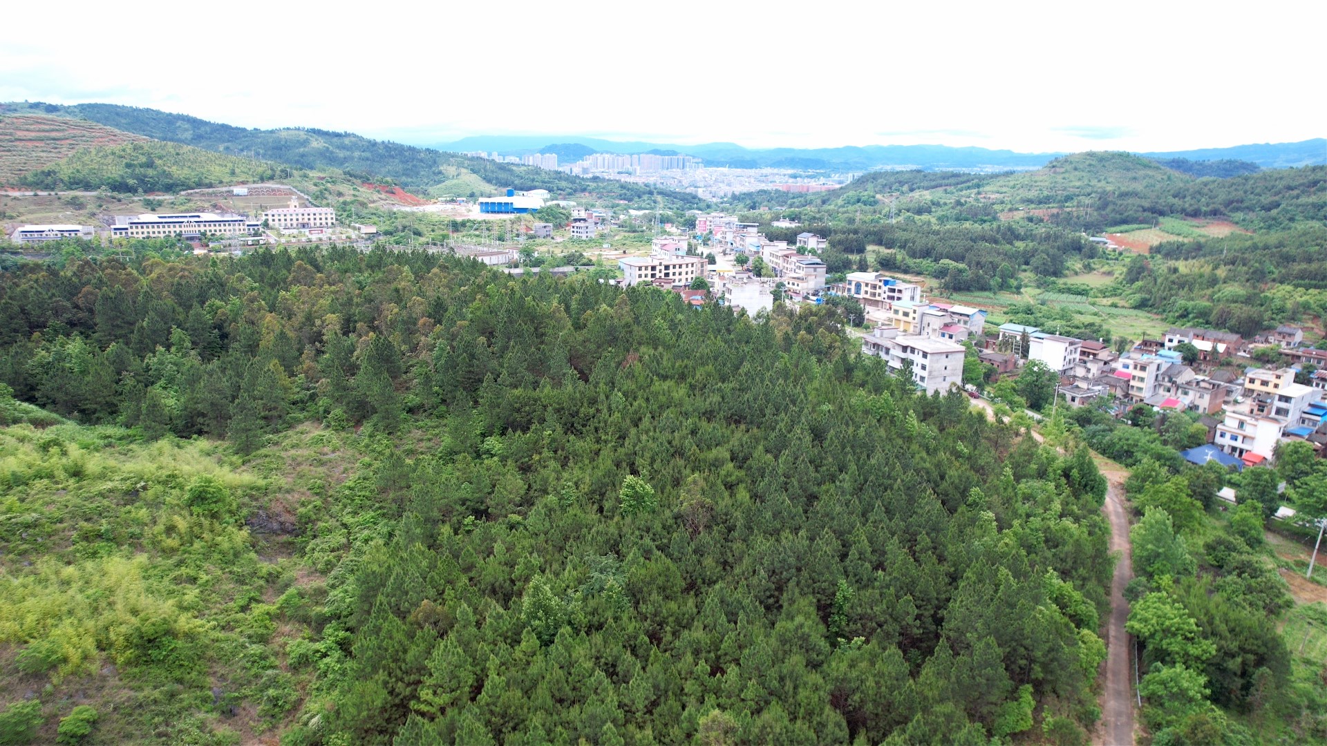 【新湖南】攻坚两大重点林业项目 临武厚植两江源头绿色生态底色