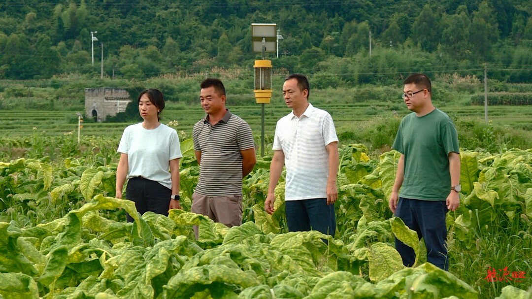 市科技特派员深入临武助农纾困