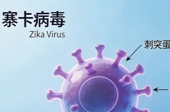 蚊虫叮咬非小事，警惕寨卡病毒病、登革热和基孔肯雅热