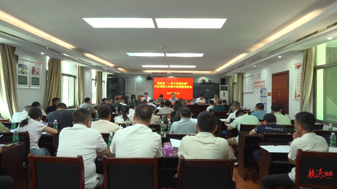 临武县召开“一切工作到支部”片区帮扶工作集中培训暨推进会