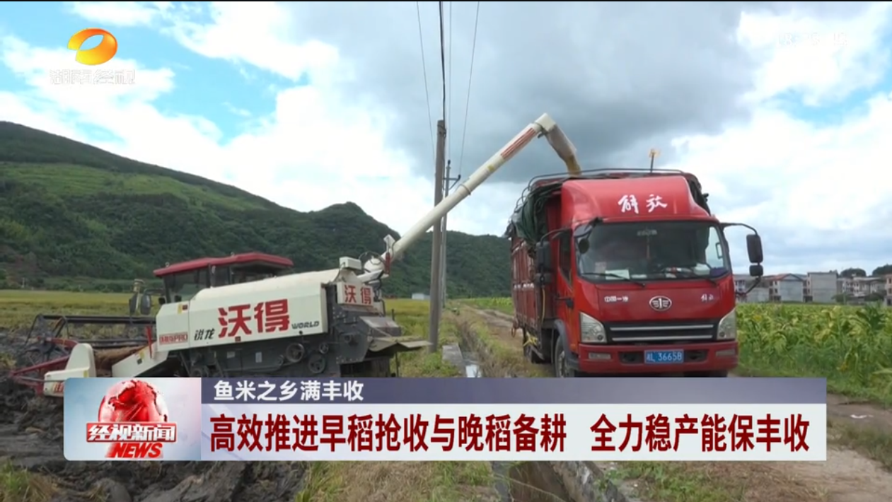 【经视新闻】鱼米之乡满丰收 高效推进早稻抢收与晚稻备耕 全力稳产能保丰收