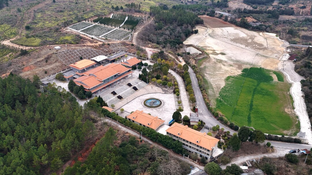 持续深化“六大新行动” 全面彰显“七个新担当｜临武县殡仪馆：惠民殡葬“免减奖补” 让“身后事”成为“暖心事”