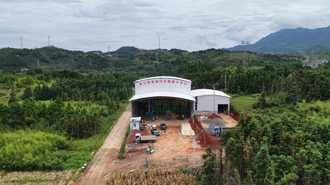 持续深化“六大新行动” 全面彰显“七个新担当”｜楚江镇：烘干“火力全开” 化解阴雨晒谷难