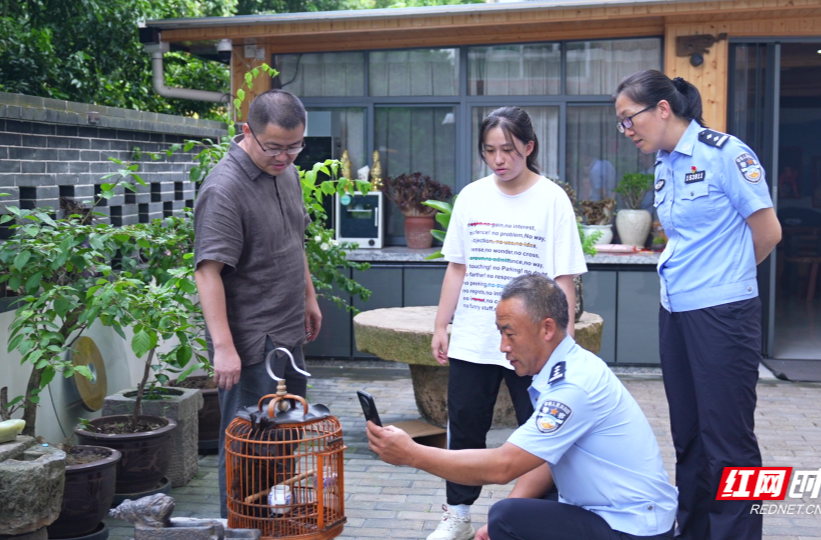 【红网时刻】临武县：学生旅游途中偶遇“红毛鸡” 警民联手救助放生