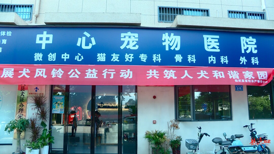 临武县启动“犬风铃”公益行动