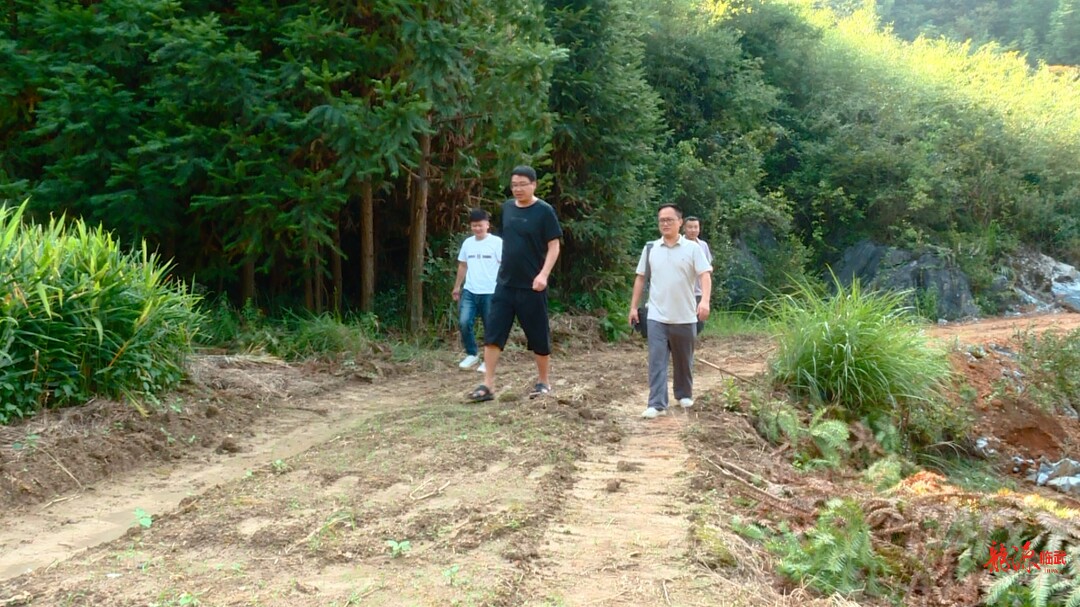 持续深化“六大新行动” 全面彰显“七个新担当”｜临武县启动农村公益性公墓规范化建设