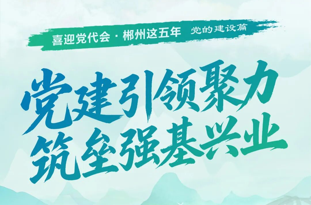 喜迎党代会·郴州这五年 | 党建引领聚力 筑垒强基兴业