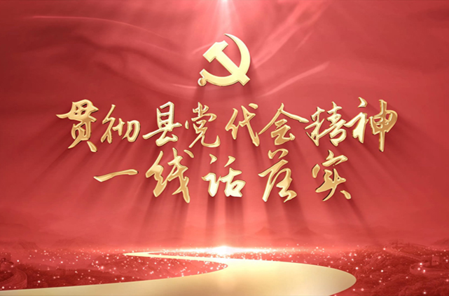贯彻县党代会精神· 一线话落实｜南强镇：两颗金果富一方 万亩良田稳粮仓
