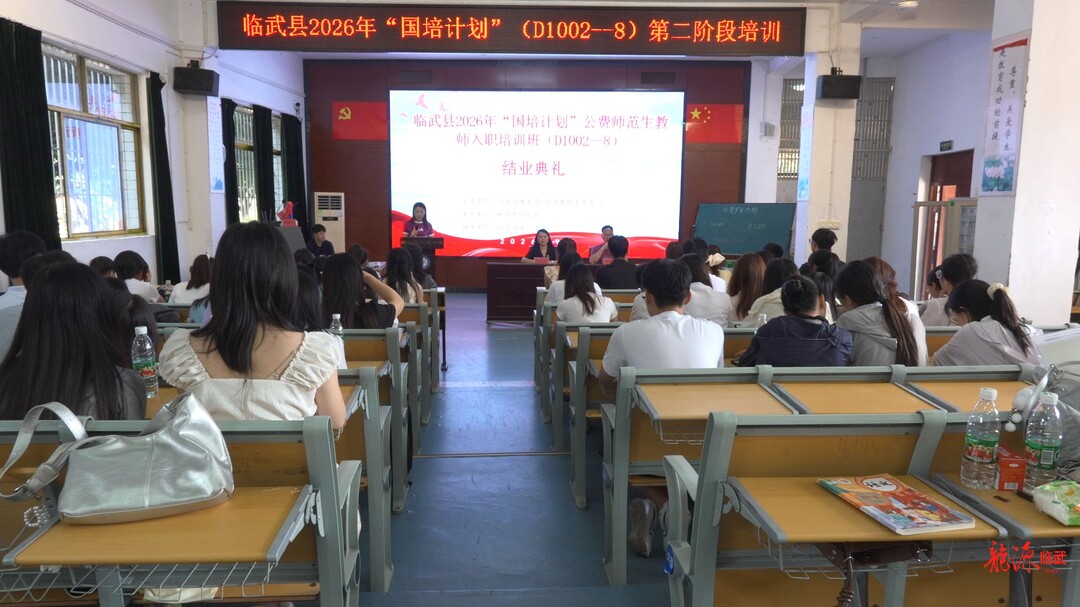 “三段式”培养模式助新教师成长