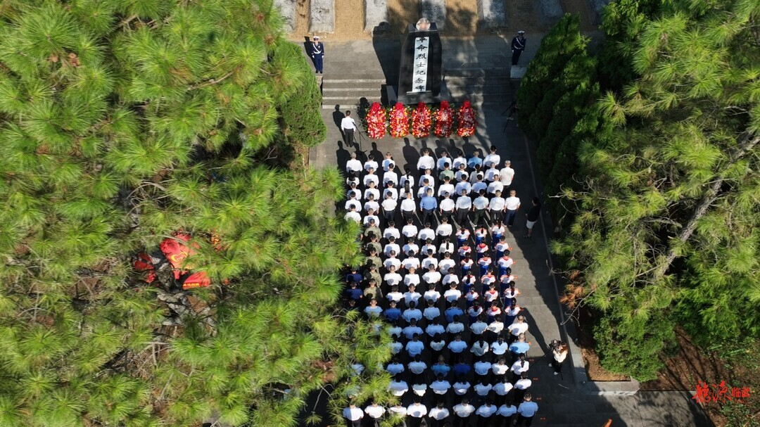临武县在十八岿烈士陵园举行烈士公祭活动