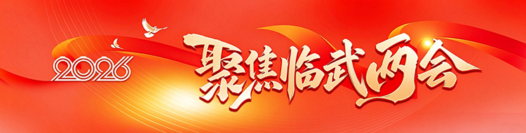 聚焦2026临武两会