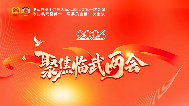 聚焦2026临武两会