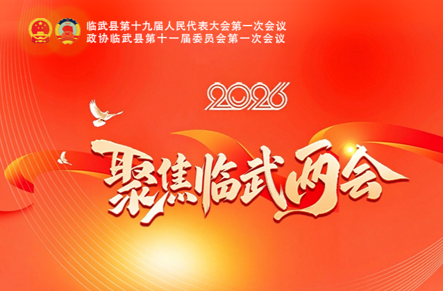 一图速看｜2026年临武县政府工作报告