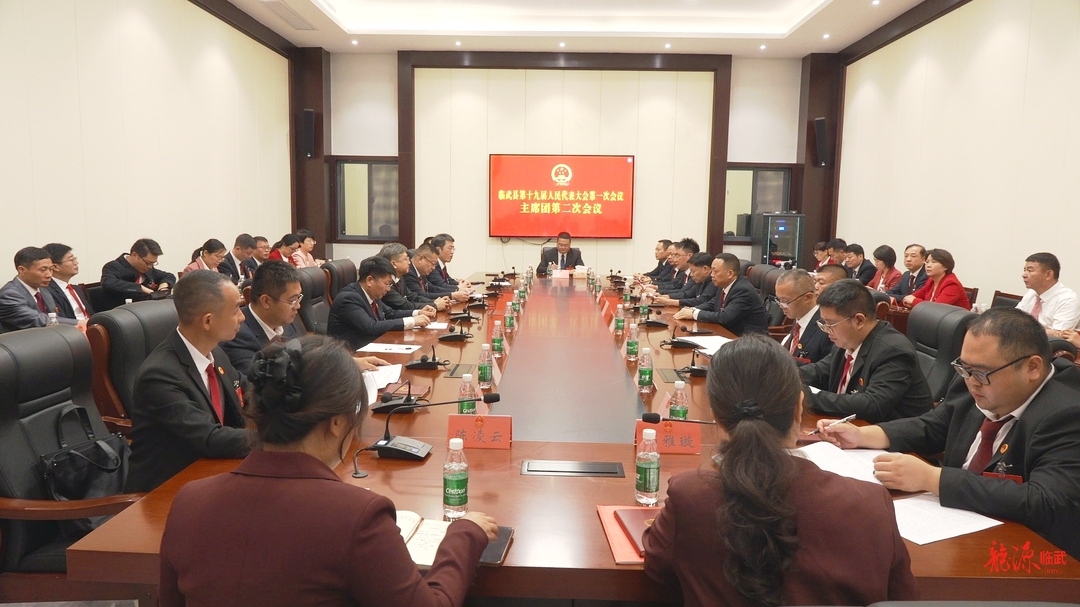 聚焦两会｜临武县第十九届人民代表大会第一次会议召开主席团第二次会议