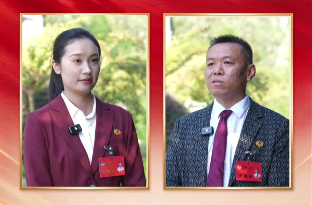 聚焦两会｜县政协委员热议县政府工作报告：聆听发展强音 共话奋进蓝图
