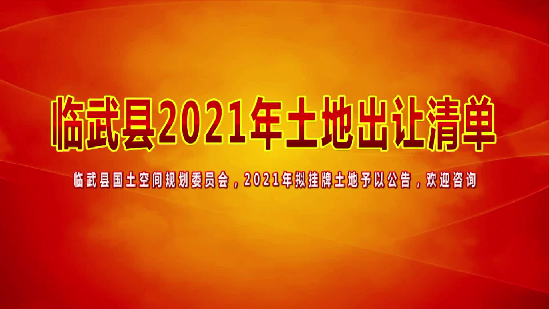 临武县2021年土地出让清单