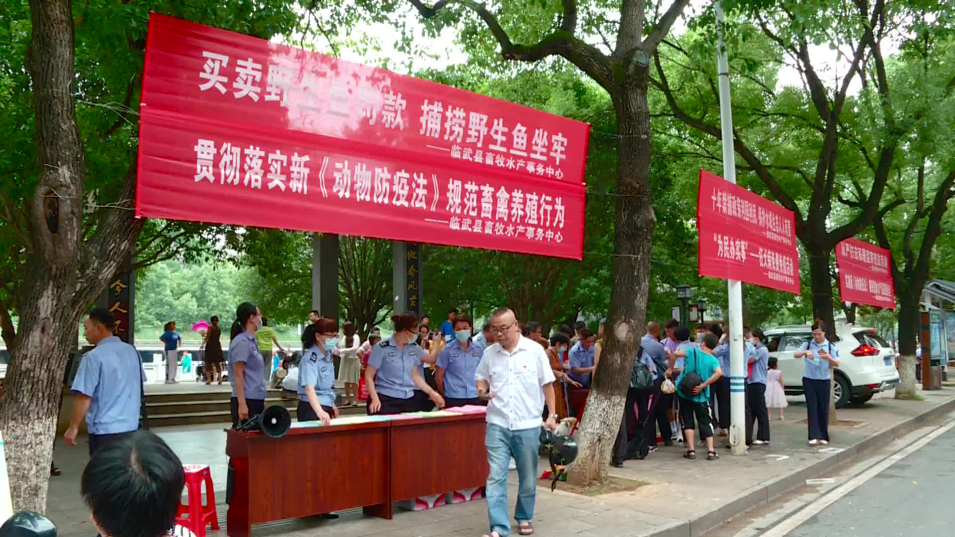 我为群众办实事｜县畜牧水产事务中心开展狂犬病免费免疫活动