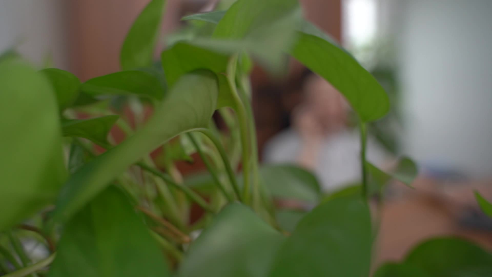 【防范非法集资宣传片】非法期货 （证监局）