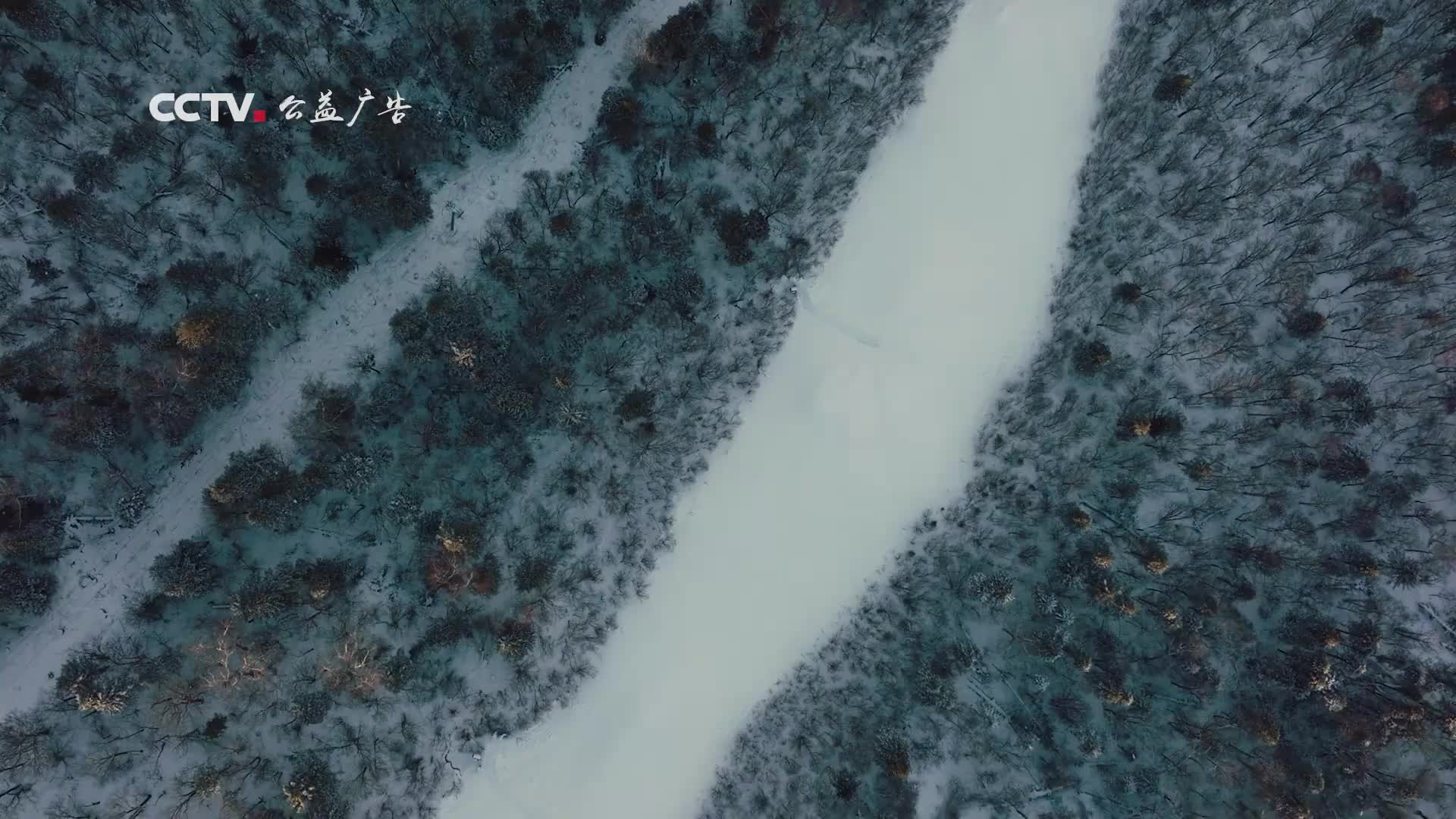 【公益广告】冬奥主题《冰雪有你更精彩》