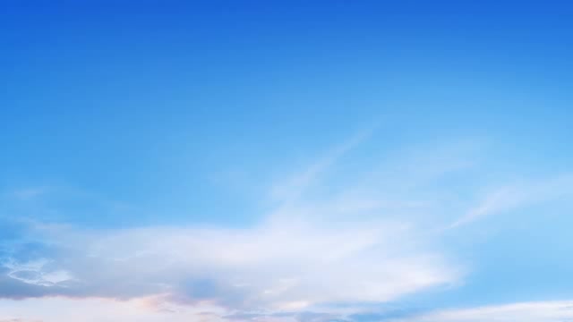 统筹疫情防控 建设文明郴州