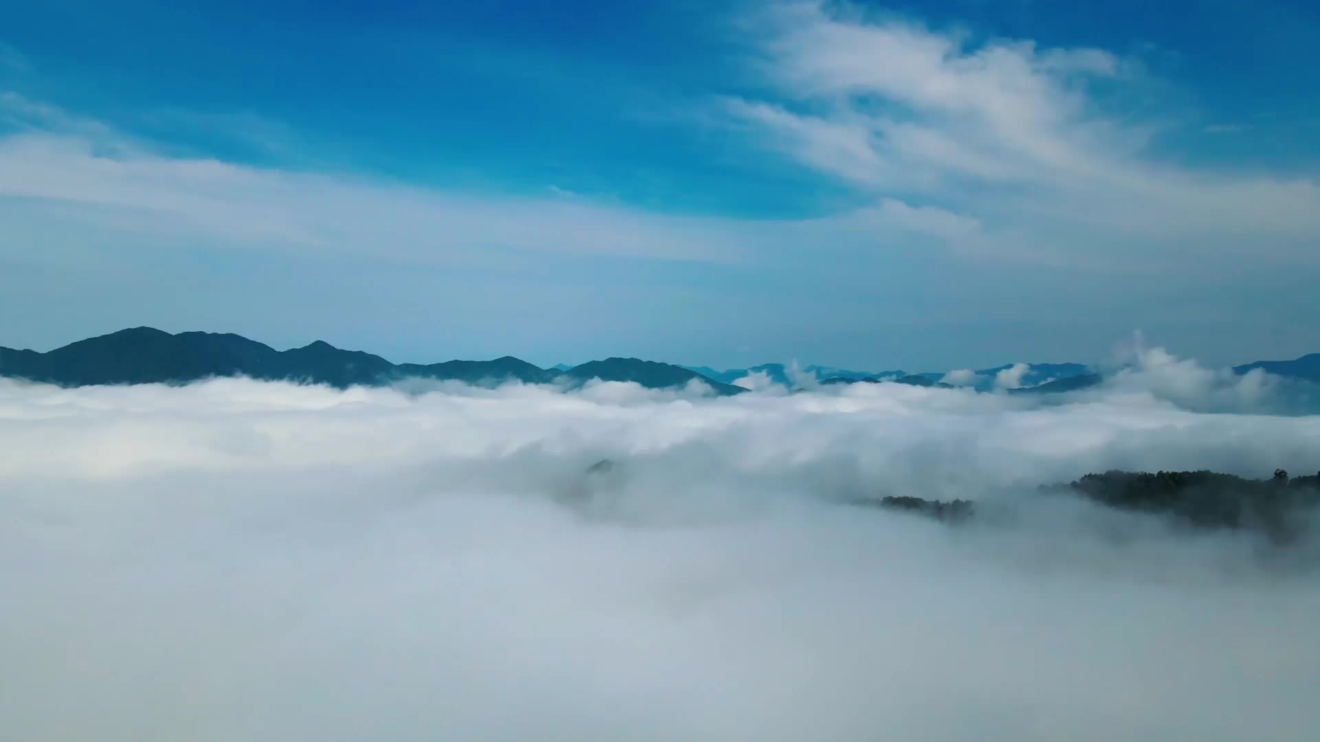 【公益广告】我们都是追梦人
