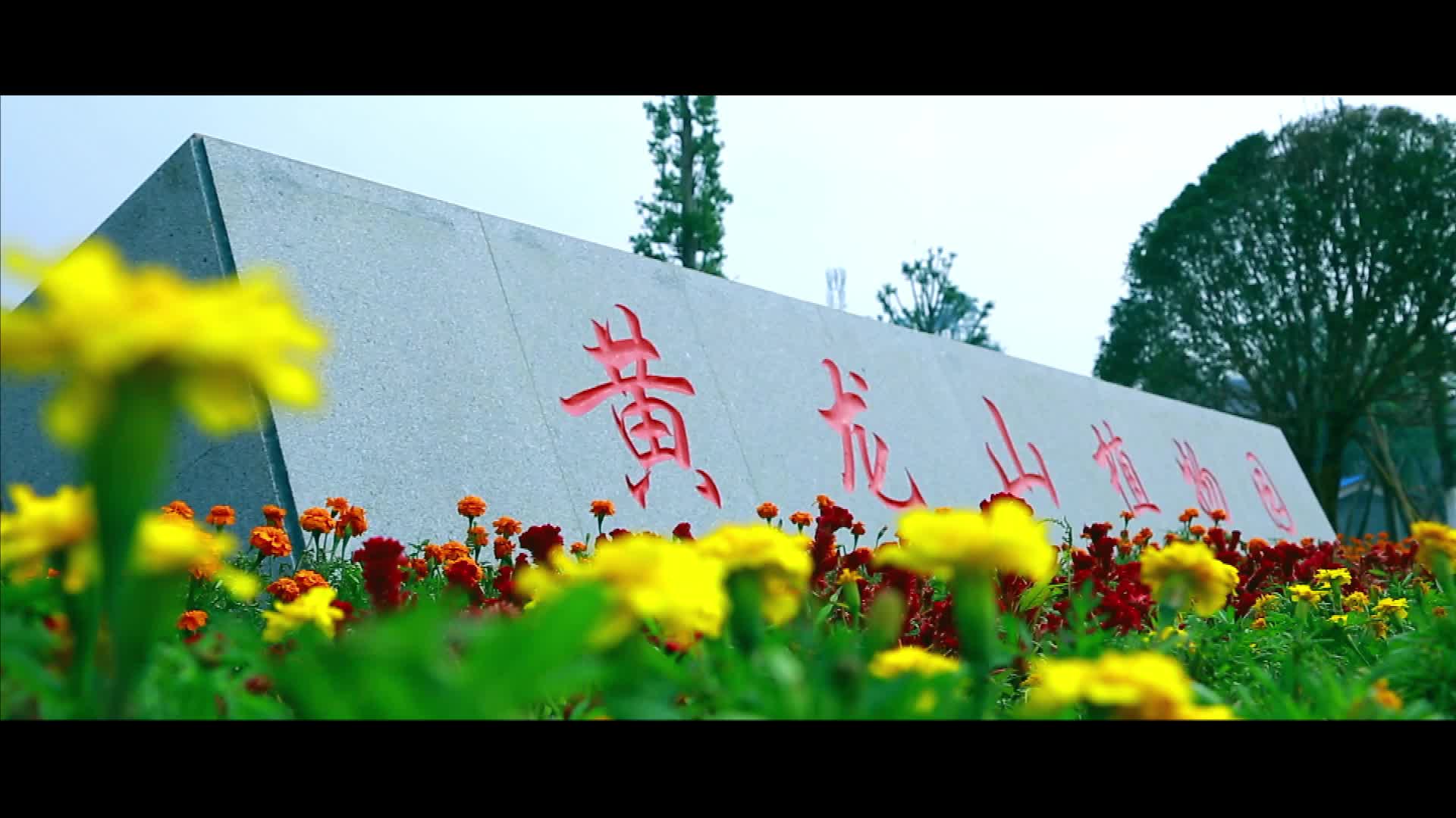 文明，你很多不经意的瞬间，就已经在参与了！