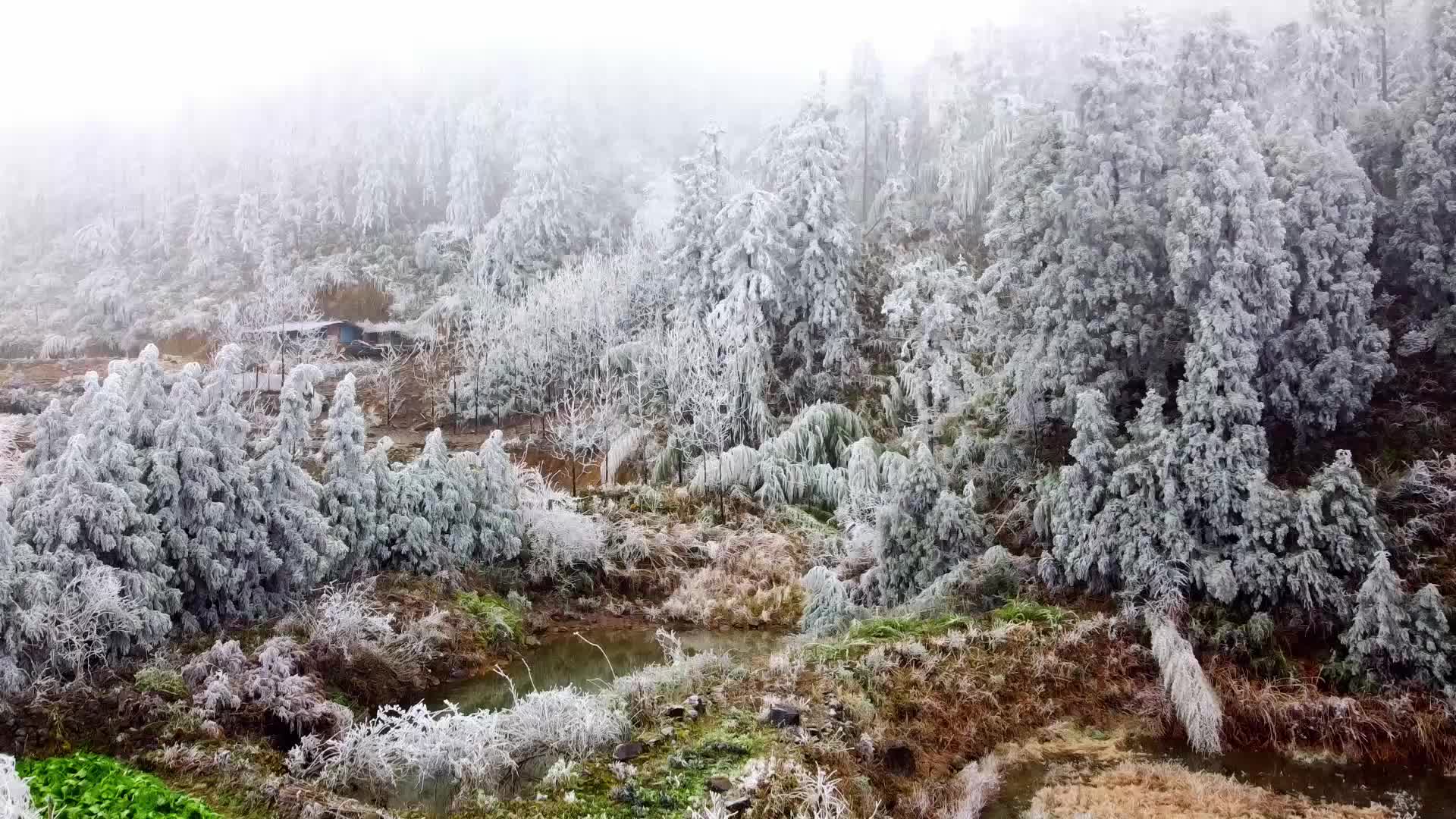 航拍临武 | 西瑶绿谷：冰雪美景美不胜收
