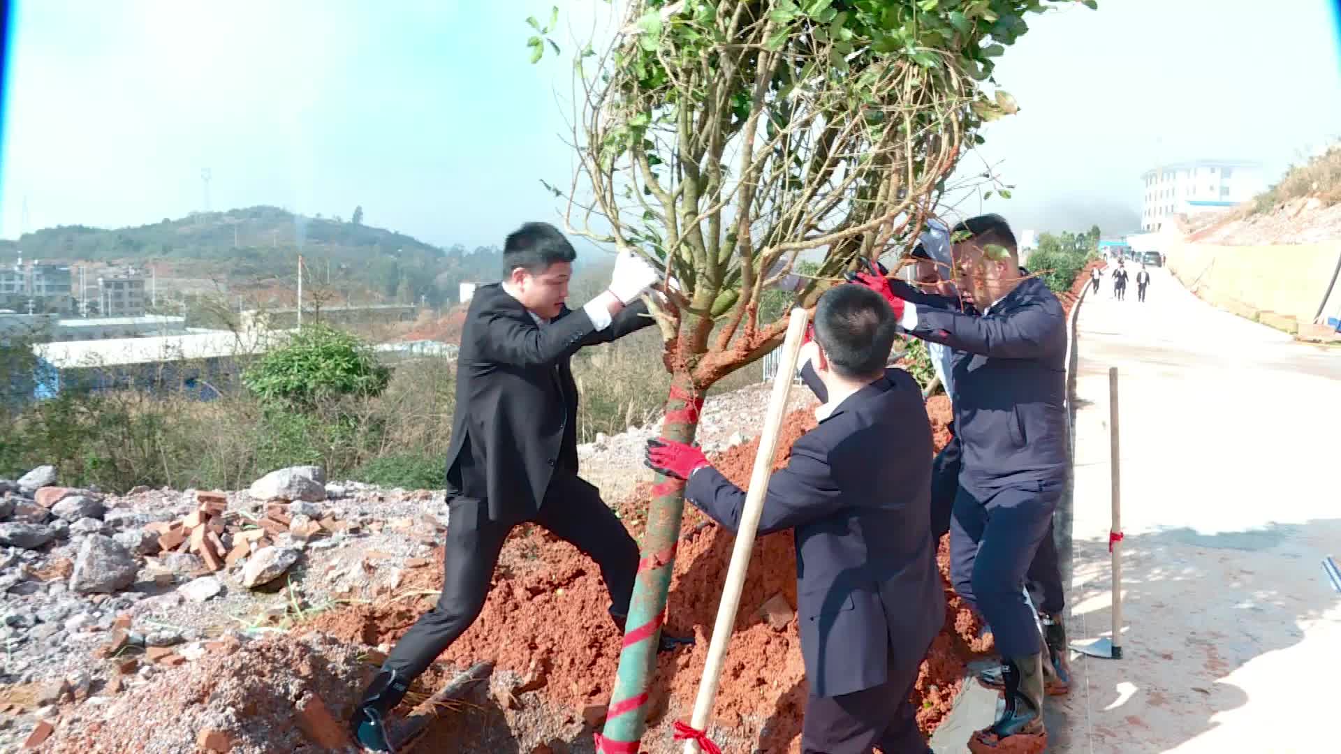 第46个植树节｜舜发投资集团联合多家金融机构开展植树活动