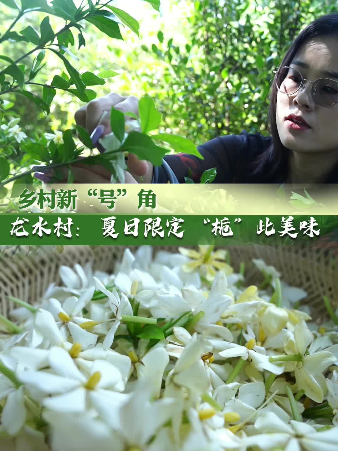 龙水村： 夏日限定 “栀”此美味